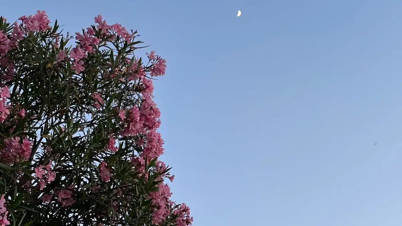 为什么你需要一个可靠的p站加速器